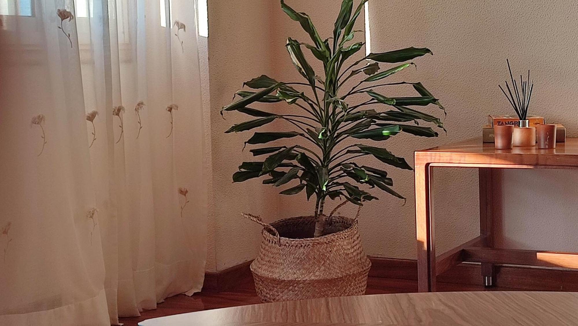 Duplex Acogedor Camino Ingles A 10 Min De Santiago Apartment Sigueiro Luaran gambar